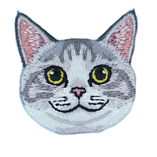 Cat - British Shorthair