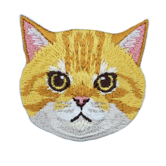 Cat - Orange Tabby