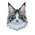 Cat - Maine Coon