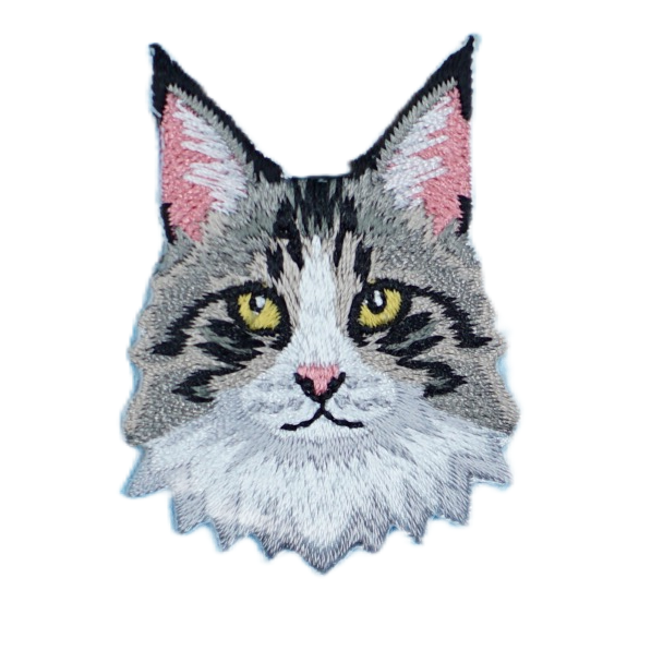 Cat - Maine Coon