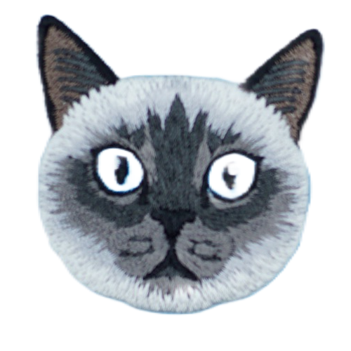 Cat - Birman/Siamese