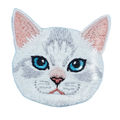 Cat - White