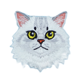 Cat - Persian/British Longhair/Siberian
