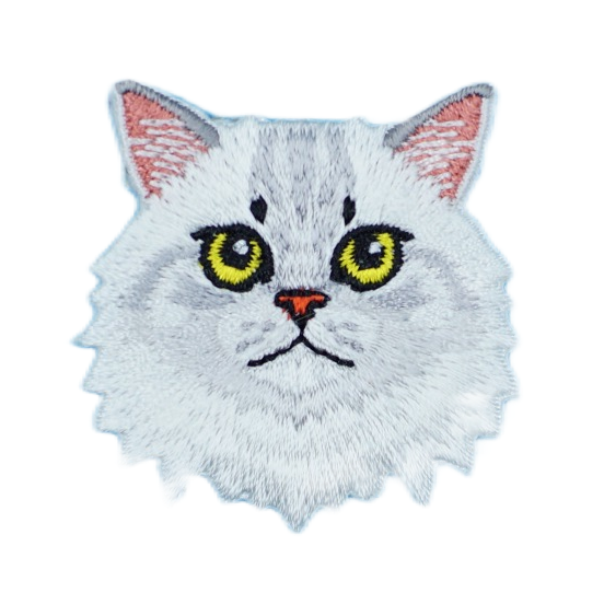 Cat - Persian/British Longhair/Siberian