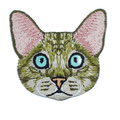 Cat - Oriental Shorthair/Rex