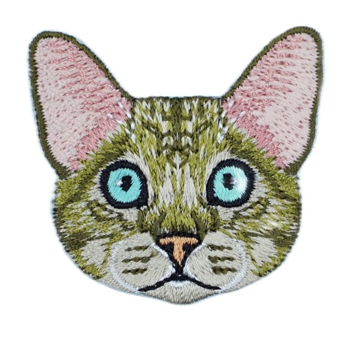Cat - Oriental Shorthair/Rex
