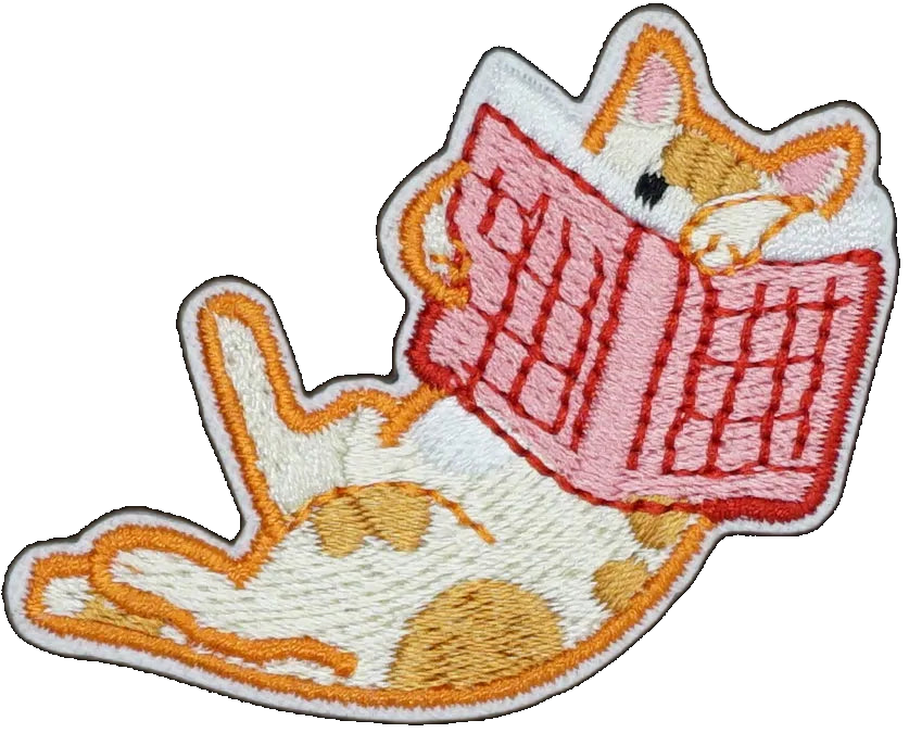 Orange Cat Reading Book