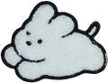 Fluffy Running White Dog