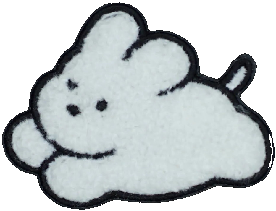 Fluffy Running White Dog