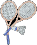Badminton Rackets and Birdie