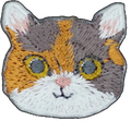 Cute Calico Cat
