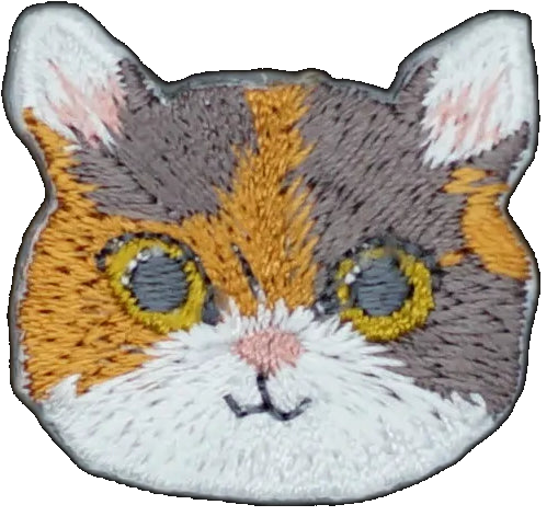 Cute Calico Cat