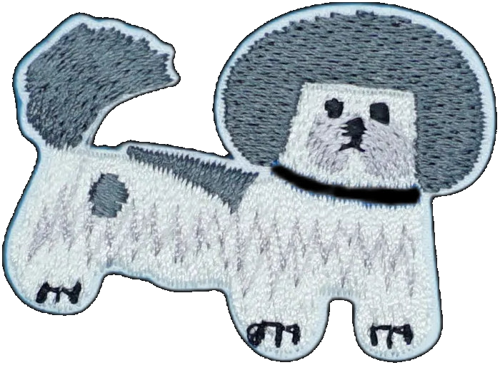 Bichon Frise Dog