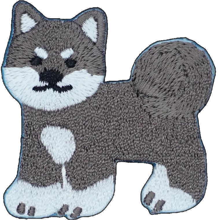 Grey Shiba Inu Dog
