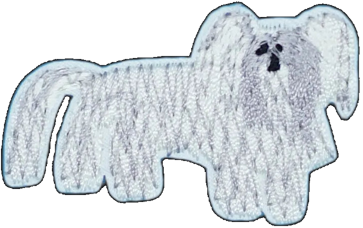 Maltese Dog