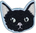 Black Cat