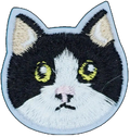 Tuxedo Cat