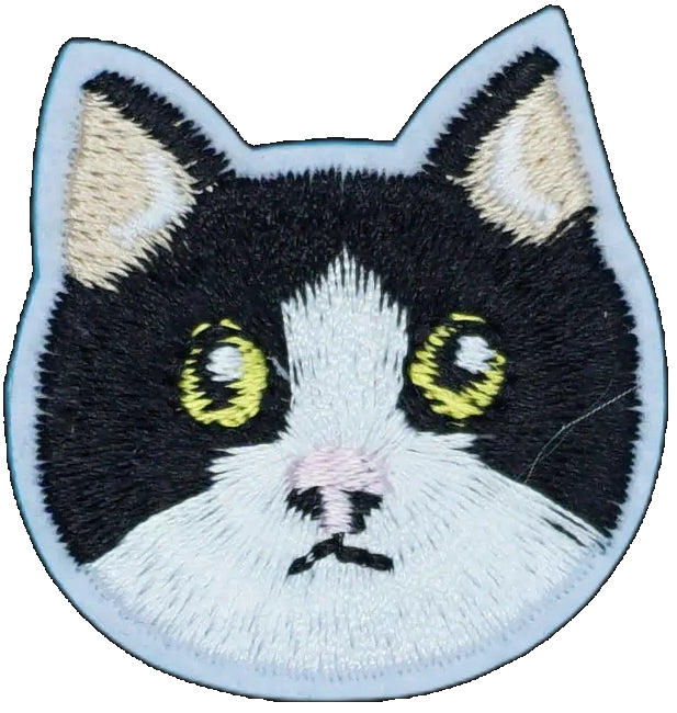 Tuxedo Cat