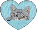 Grey Cat in Blue Heart
