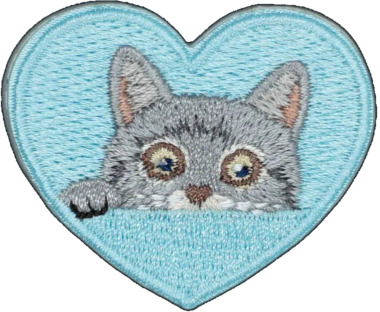 Grey Cat in Blue Heart