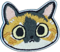 Cute Calico Cat