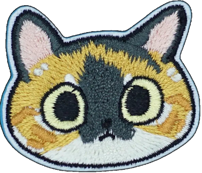 Cute Calico Cat