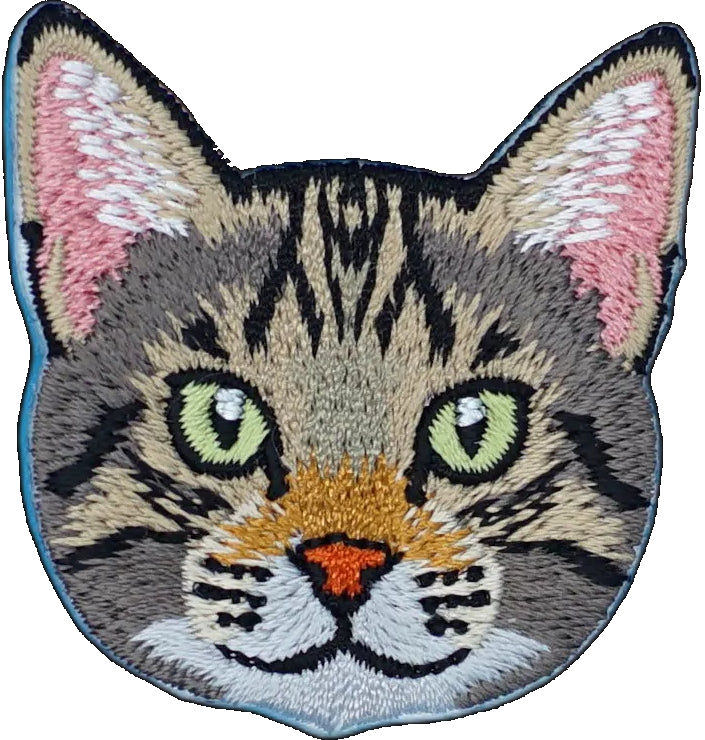 Tabby Cat