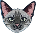 Devon Rex Cat