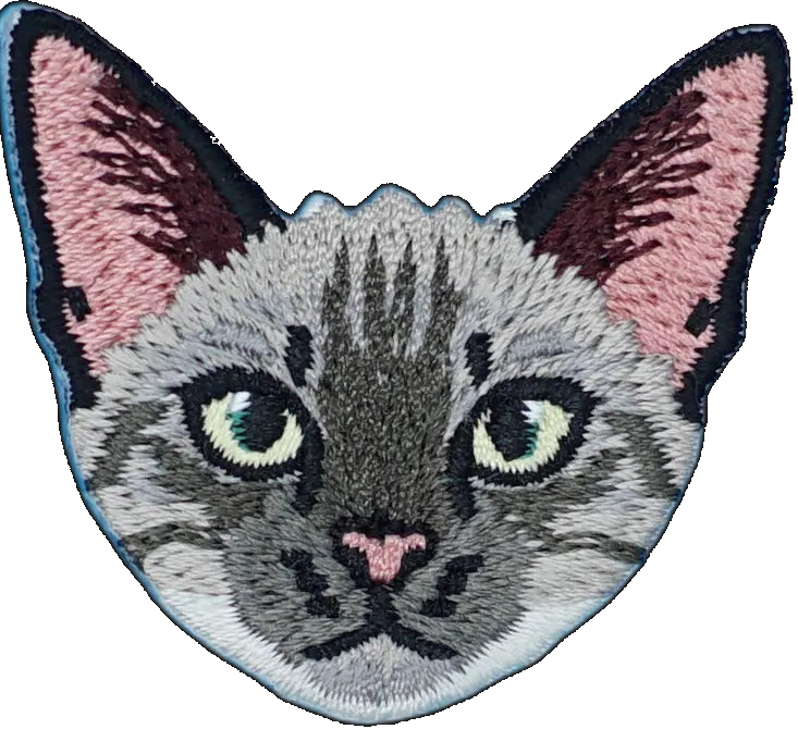 Devon Rex Cat
