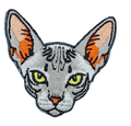 Sphynx Cat