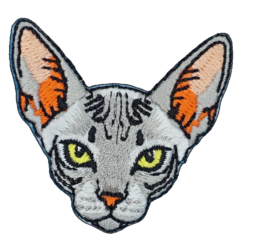 Sphynx Cat