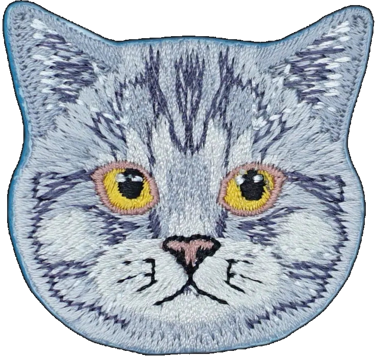 Gray Tabby Cat