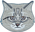Siberian Cat