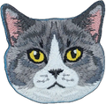 Tabby Cat