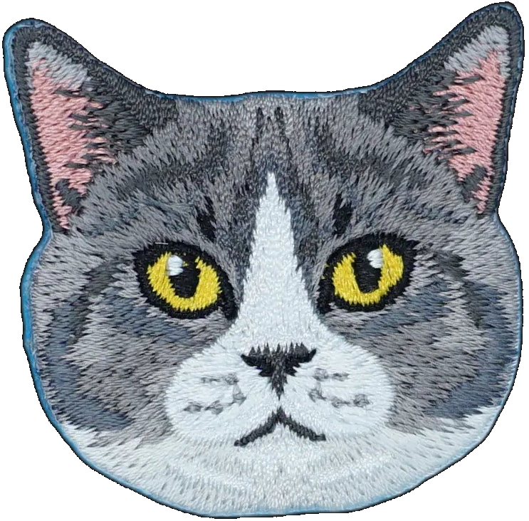 Tabby Cat