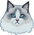 Ragdoll Cat