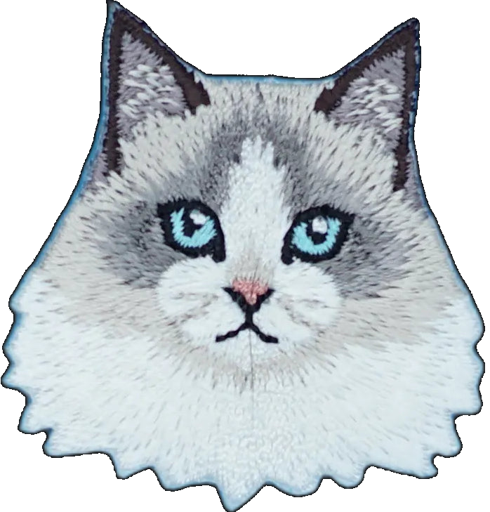 Ragdoll Cat