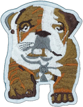 Bulldog