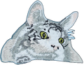 Tabby Cat