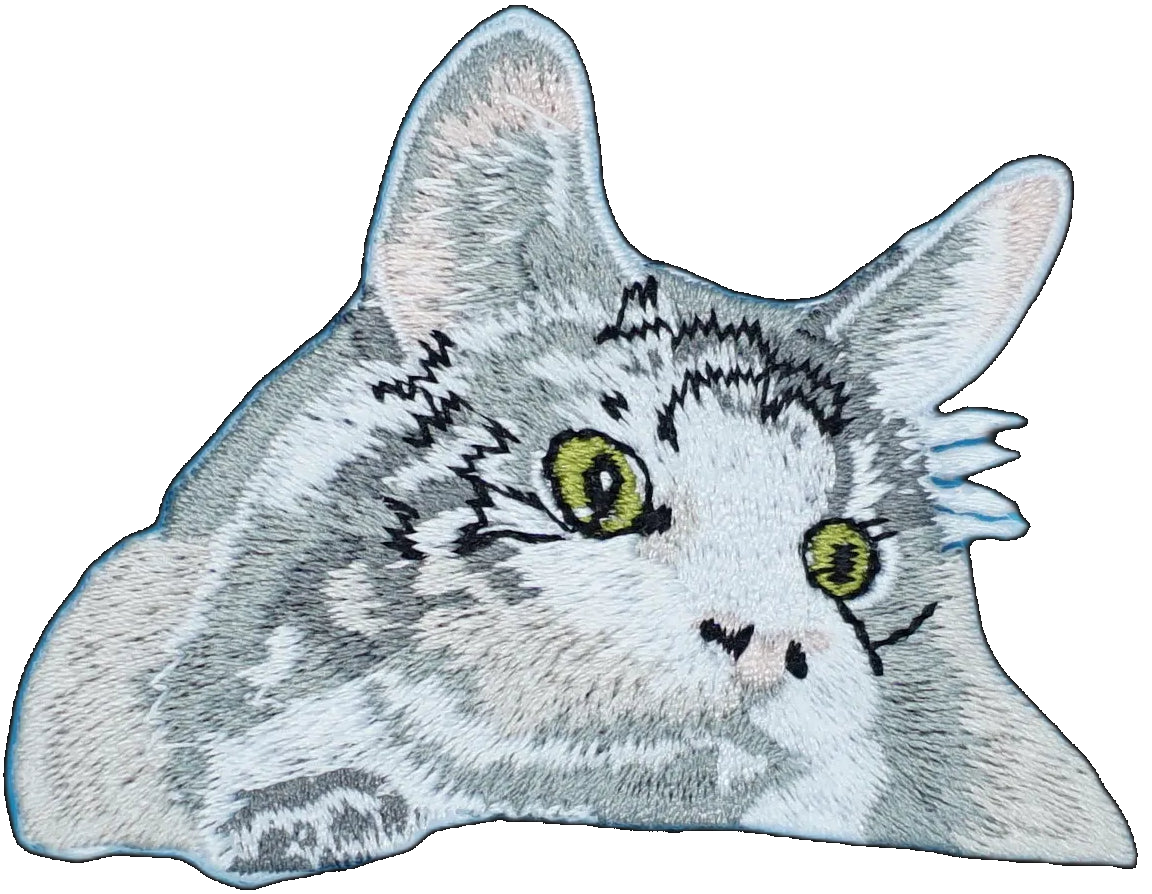 Tabby Cat