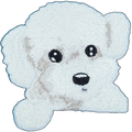 Maltese Dog