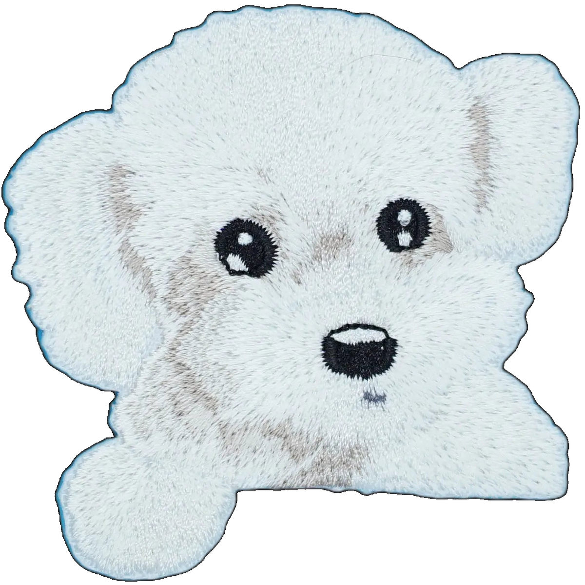 Maltese Dog