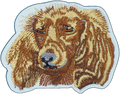 Cocker Spaniel Dog