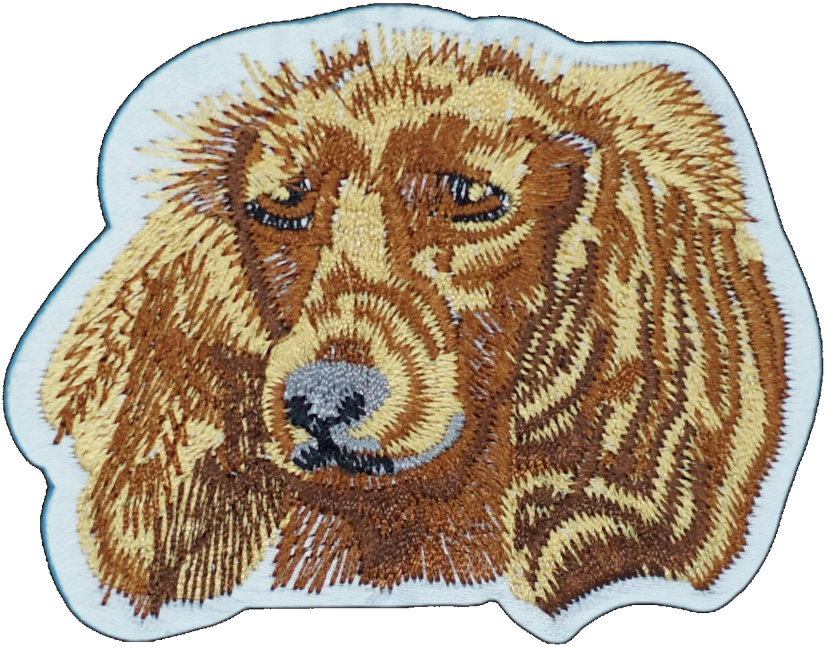 Cocker Spaniel Dog