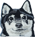 Black & Tan Shiba Inu Dog