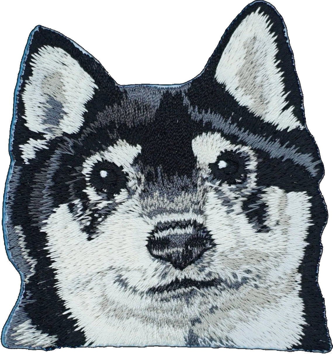 Black & Tan Shiba Inu Dog