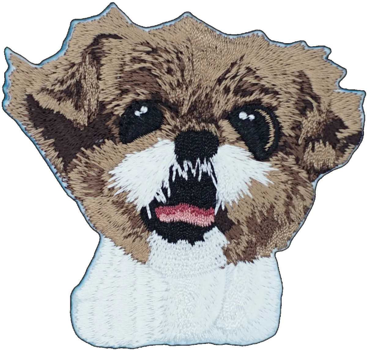 Yorkshire Terrier Dog