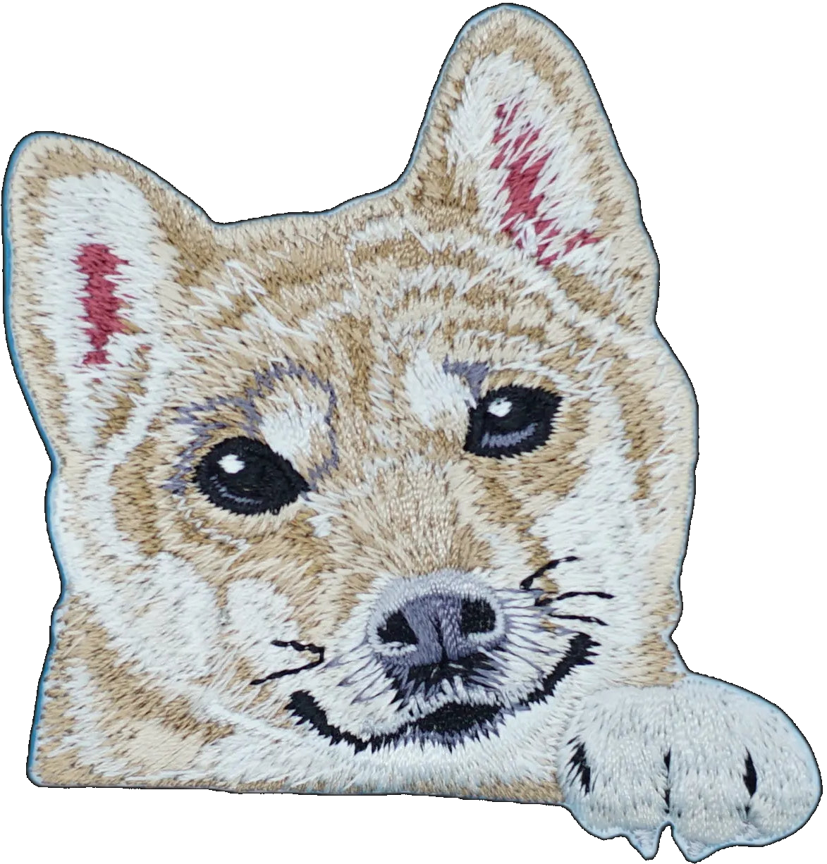 Shiba Inu Dog