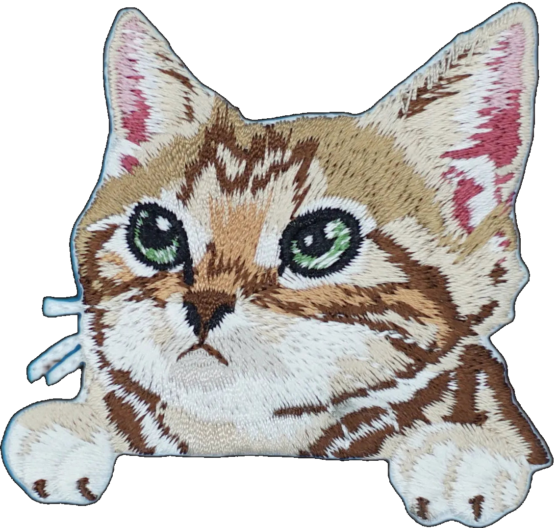 Tabby Kitten