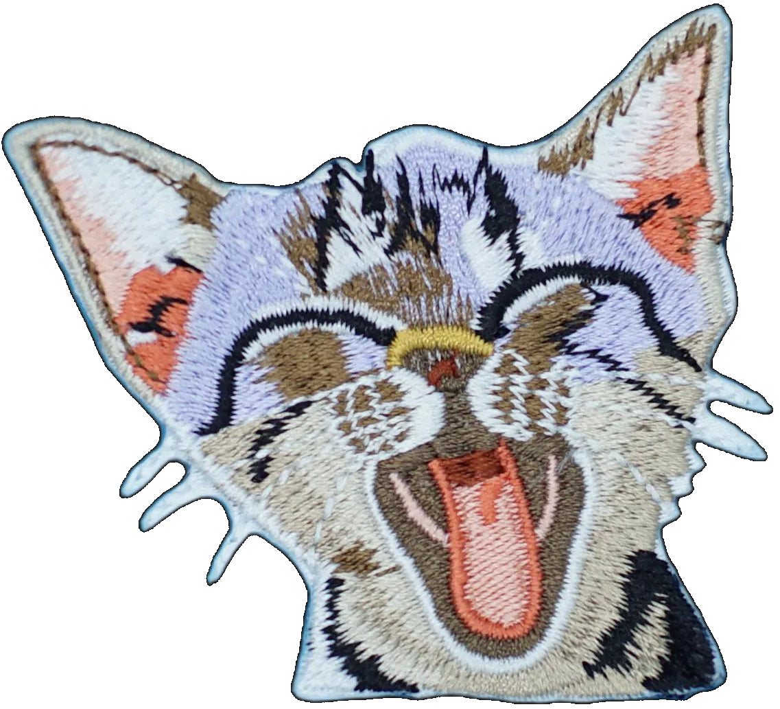 Yawning Kitten